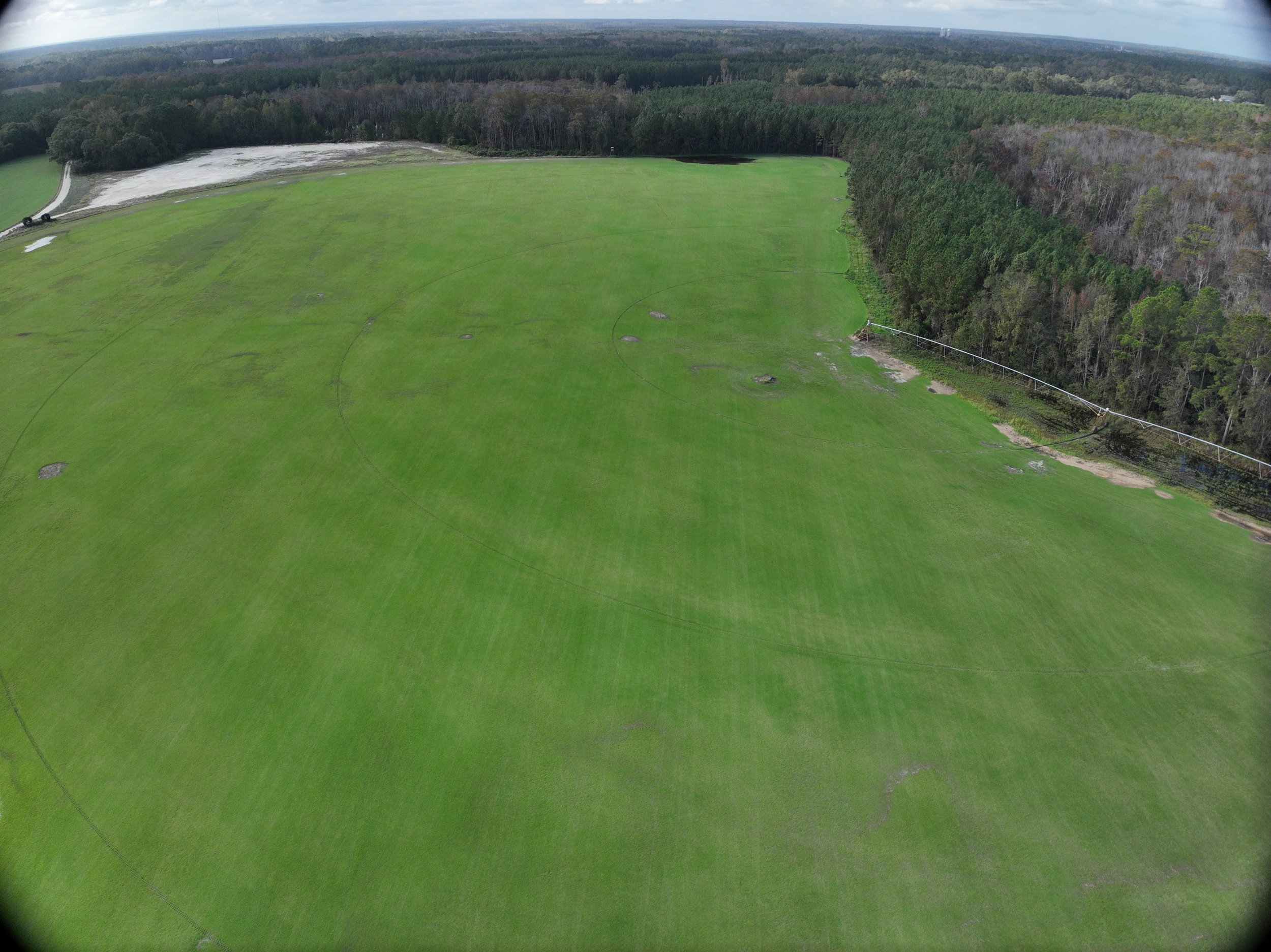 Aerial view of the Humble Acres fields in Blackville, South Carolina